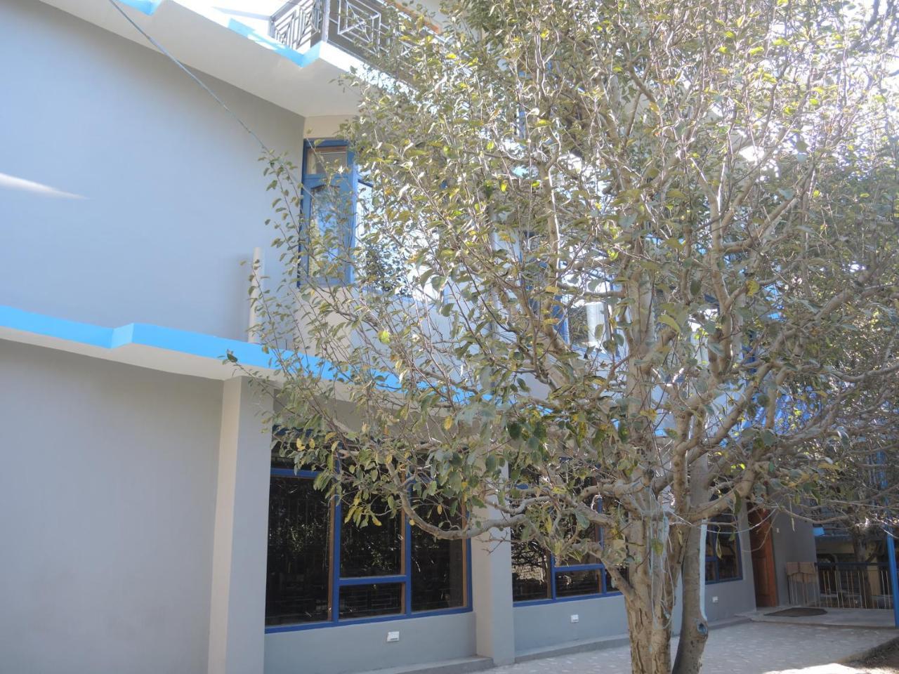 קאלפה The Alpine Nest Hotel מראה חיצוני תמונה